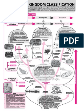 Biology Mind Map PDF | PDF | Fungus | Eukaryotes