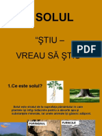 Solul