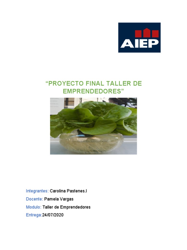 Proyecto Final Taller de Emprendedores | PDF | Calidad (comercial ...