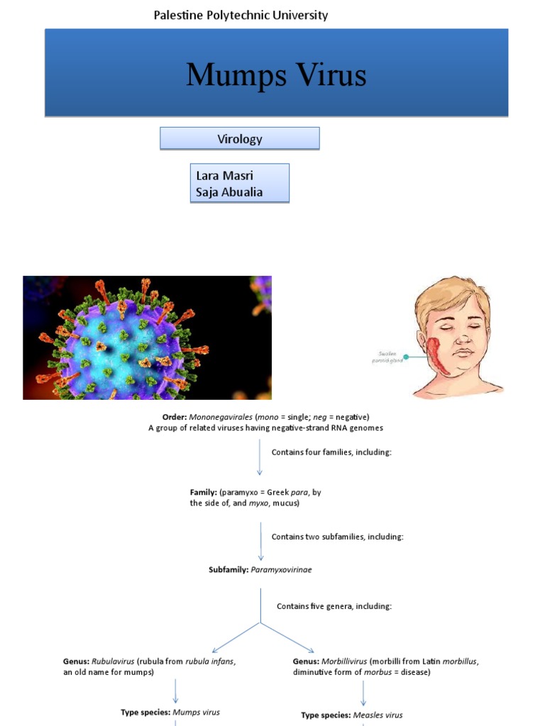 Mumps Virus | PDF | Diseases And Disorders | Virology