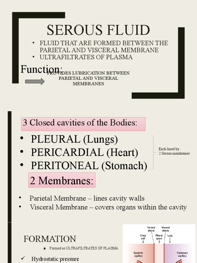 Serous Fluid Function PDF White Blood Cell Anatomy