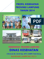 08_Lampung_2014.pdf