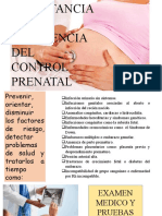 Control Prenatal Embrio