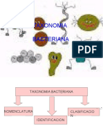 Taxonomia Bacteriana