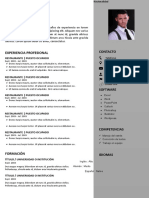 83 Curriculum Vitae Laboral