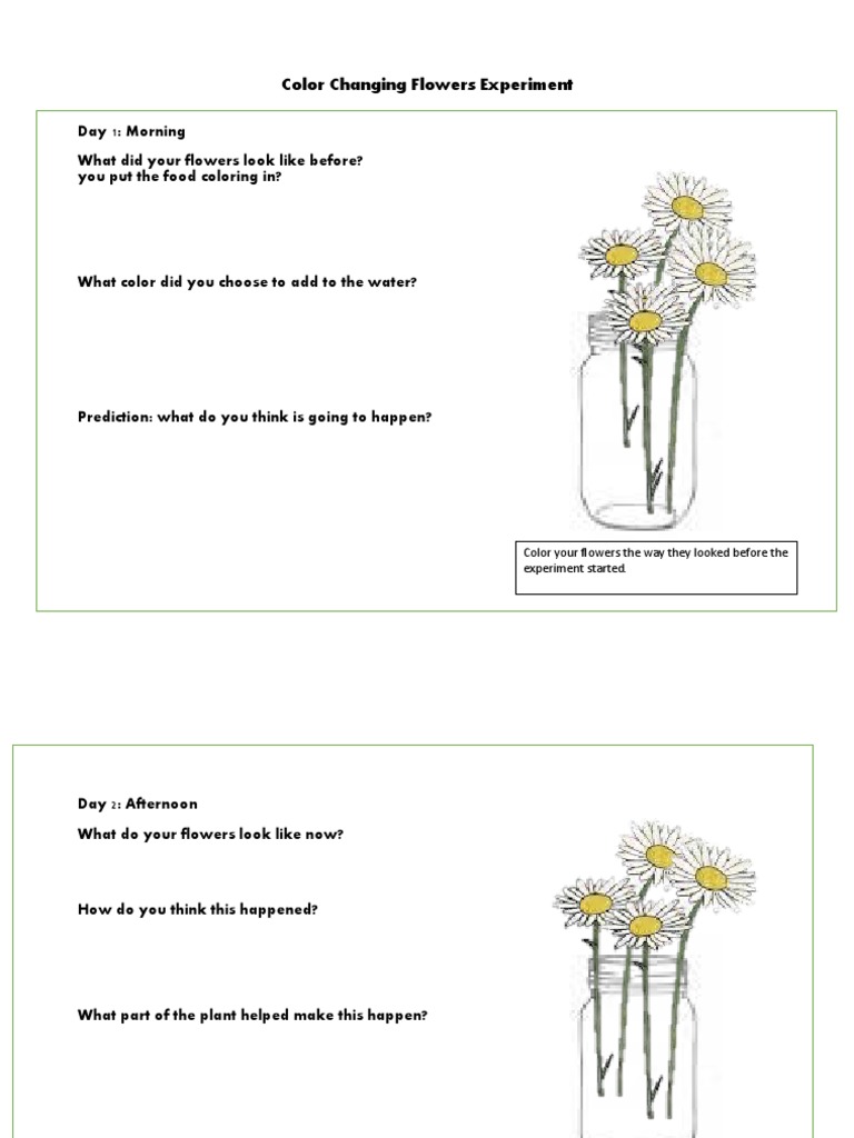 Color Changing Flowers Experiment Guide | PDF | Self-Improvement ...