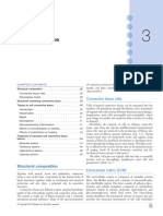 Conective Tissue PDF