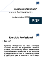 15.responsabilidad Profesional