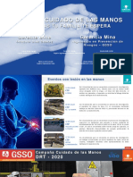 Campaña Protección de Manos - G. Mina - Final 2020 (1).pdf