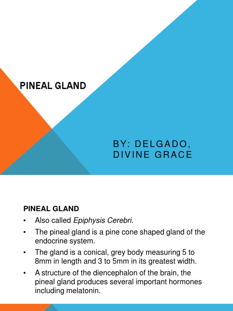 Pineal Gland: Structure & Function | PDF | Animal Physiology | Organ ...