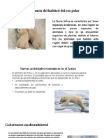 Conocer La Importancia Del Habitad Del Oso Polar