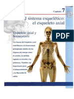 Esqueleto Axial: Principios de Antomia y Fisiologia Gerard Tortora