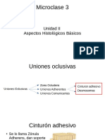 Principios de Anatomia y Fisiologia: Resumen Uniones Oclusivas II