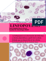 Linfopoyesis (1)