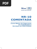 NR 10 FIRJAN.pdf