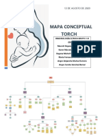 Mapa Conceptual Torch