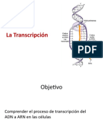 4A BIOLOGÍA Clase Transcripcion Del ADN