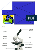 Microscope Basics