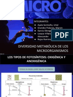 Expo Micro PDF