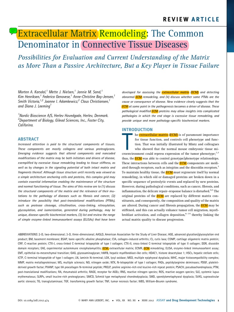 ECM - Connective Tissue Diseases | PDF | Extracellular Matrix | Collagen