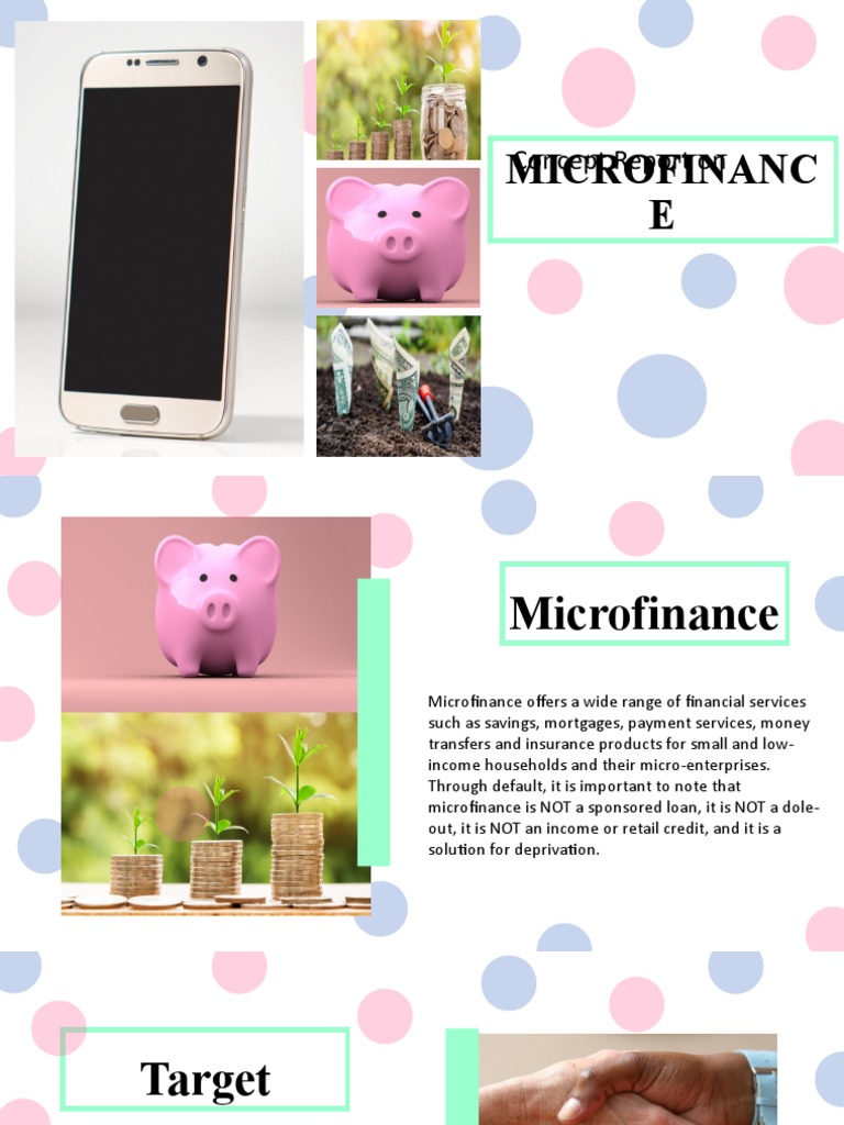 Microfinance Services Overview | PDF