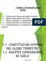 1. CONSTITUCION INTERNA Y AGENTES GENERADORES.pdf
