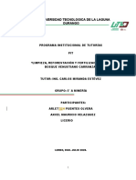 Proyecto Tutorias (Julio) 1 Arlette Axcel