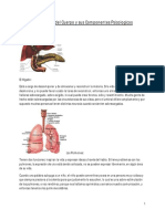58711281-Organos-del-Cuerpo-y-sus-Componentes-Psicologicos.pdf