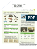 Taller Taxonomicos