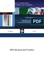 Replication, Transcription, and Translation: The Molecular Basis of Inheritance