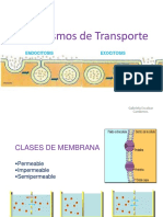 Mecanismo de Transporte2014A