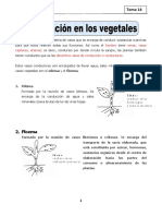 Ciecia y Ambiente