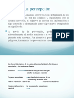 La percepción: proceso de elaboración e interpretación de estímulos