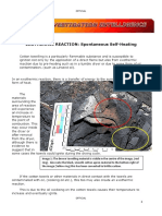 EXOTHERMIC REACTION: Spontaneous Self-Heating: Official