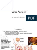 17 General Embryology Mlab