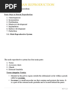 Human Reproduction: 3.1: Male Reproductive System