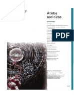 13-Acidos nucleicosO.pdf