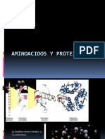 14. aminoacidos estructura prot.pdf