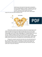 Anatomi Tulang Pelvis & femur.docx