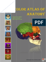 Color Atlas of Anatomy - Rohen PDF