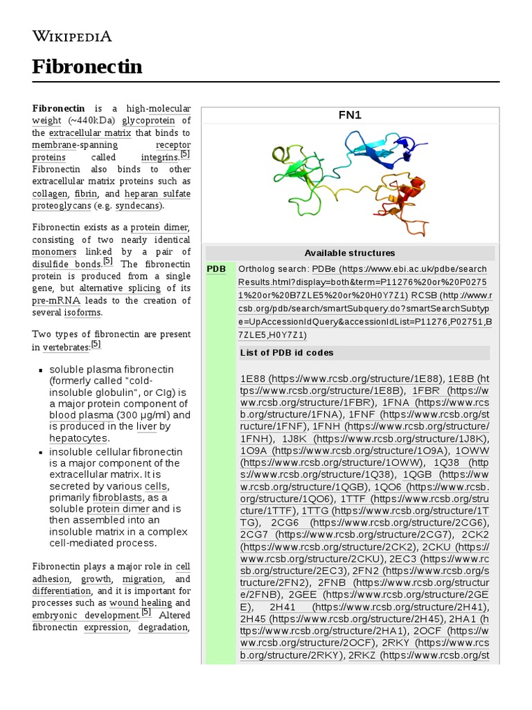 Fibronectin: Fibronectin Is A High-Molecular | PDF | Extracellular ...