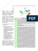 Fibronectin: Fibronectin Is A High-Molecular