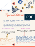 Figuras Literarias. 5° PDF