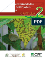 Guía completa sobre las principales enfermedades y plagas del frijol en Colombia