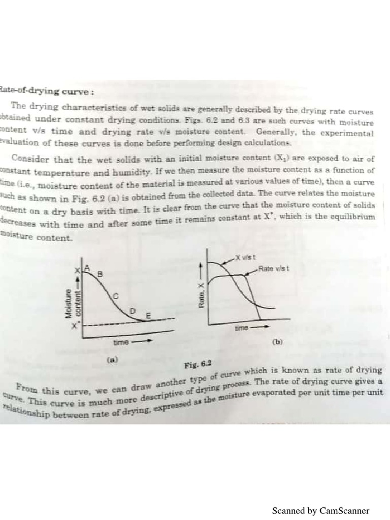 Rate of Drying Curve PDF