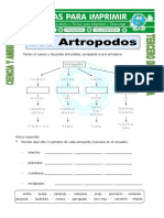 Ficha de Los Artropodos para Tercero de Primaria