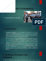 Seguridad Ciudadana