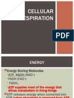 Cellular Respiration Fermentation 2017 UPDATED Use For 2019