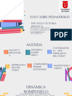 Encuadre Pedagogico d. Integral II