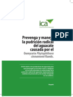 Boletin-pudricion-aguacate_Final.pdf